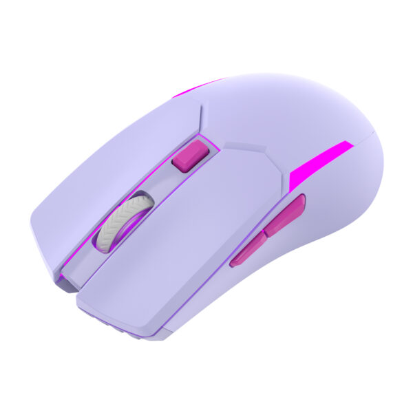 Mouse Mouse ETCHILE