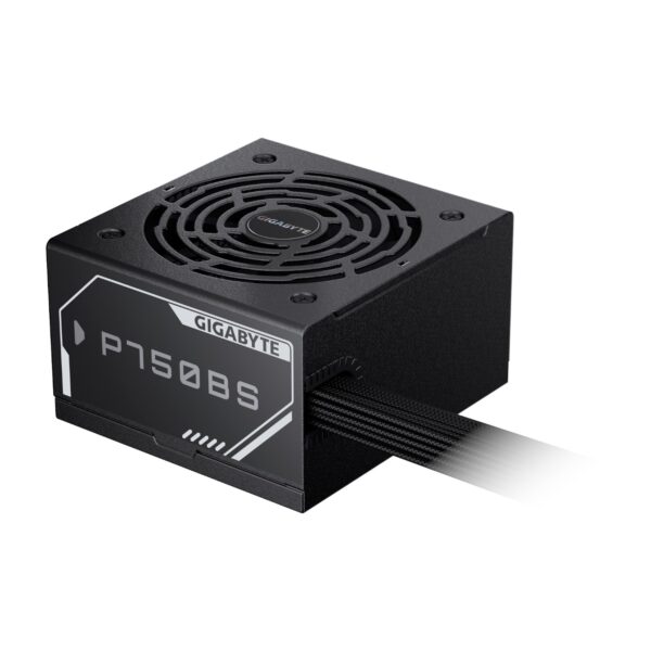 Gigabyte Fuente de Poder PSU P750BS 750 Watts - Imagen 5