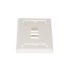 Panduit NETKEY 2 Position FACEPLATE 1 PC
